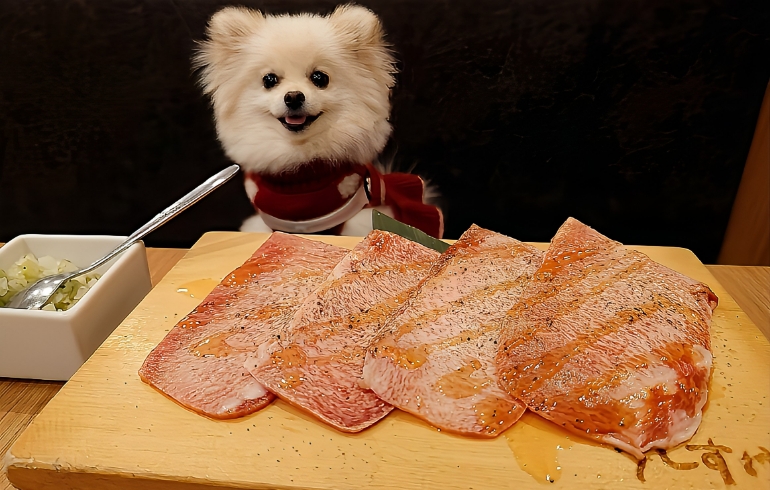 たんの焼きしゃぶとゆめちゃん