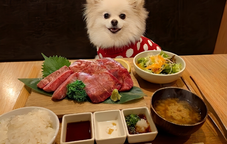お得な御膳メニューとゆめちゃん