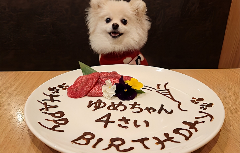 特製メッセージ入りの肉プレートとゆめちゃん
