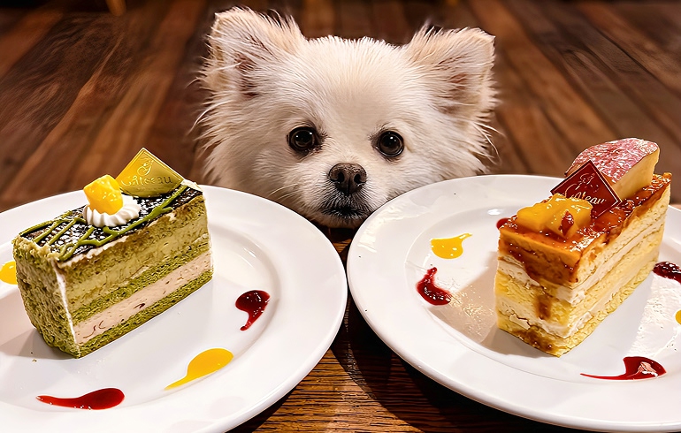 自家製ケーキ