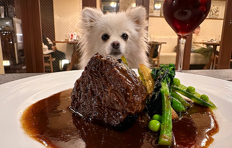 和牛ホホ肉赤ワイン煮込み