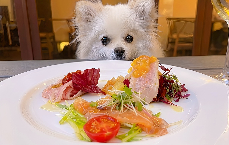 前菜の盛り合わせ