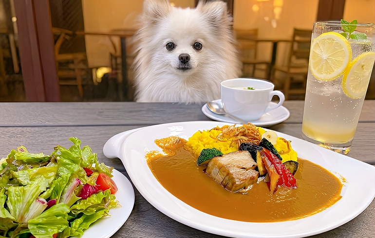 特製カレー