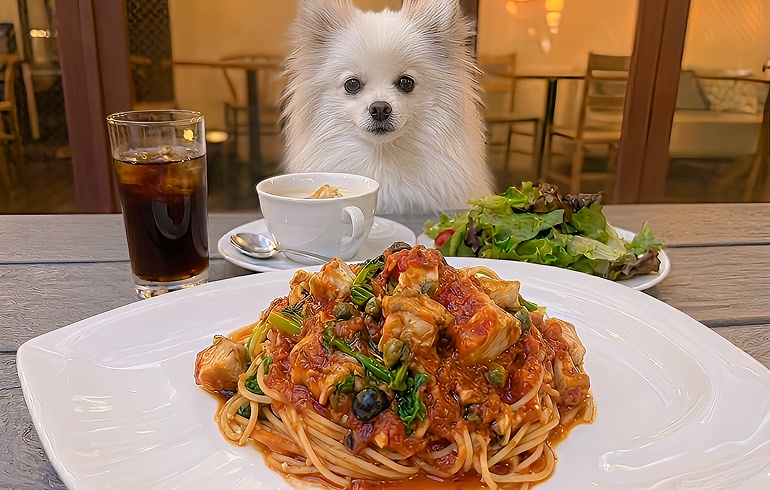 パスタランチ