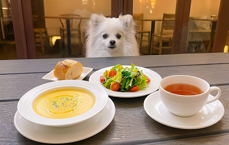 サラダ＆スープランチ