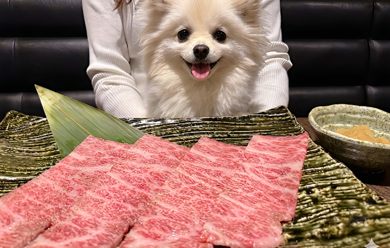 肩三角の焼きしゃぶ