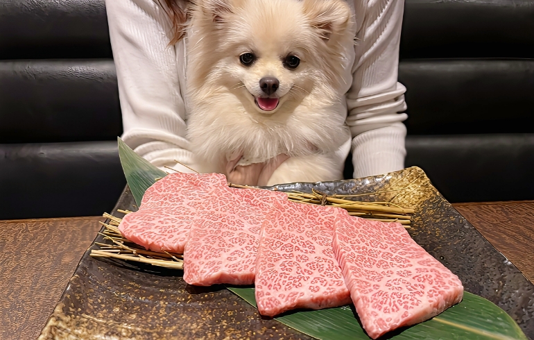 特選カルビ