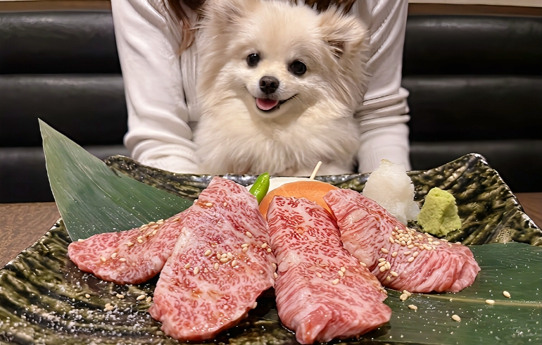 上ハラミ