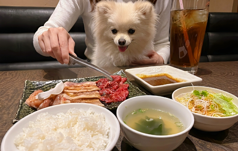 牛、鶏、豚盛り合わせ