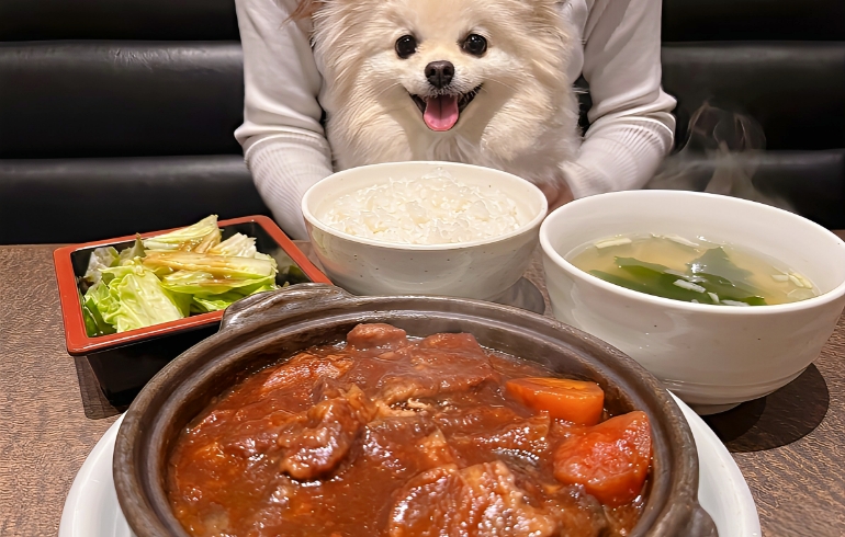 牛タンシチュー