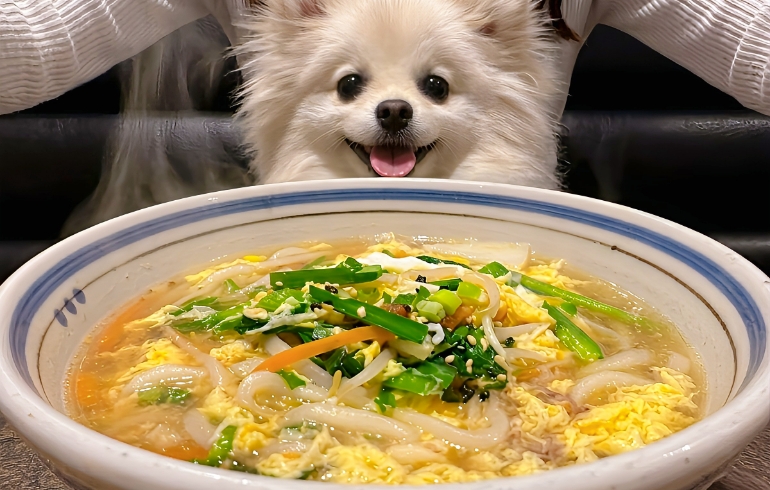 野菜の玉子とじうどん