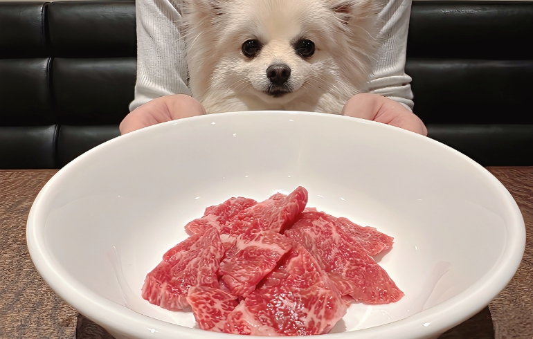 ワンちゃんメニュー2