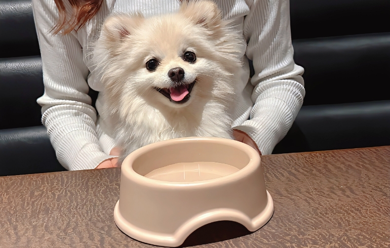お水サービス