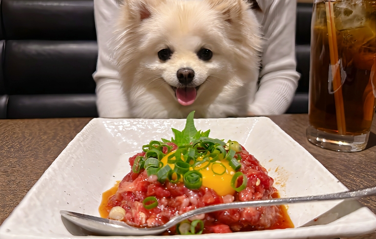 牛肉のユッケ