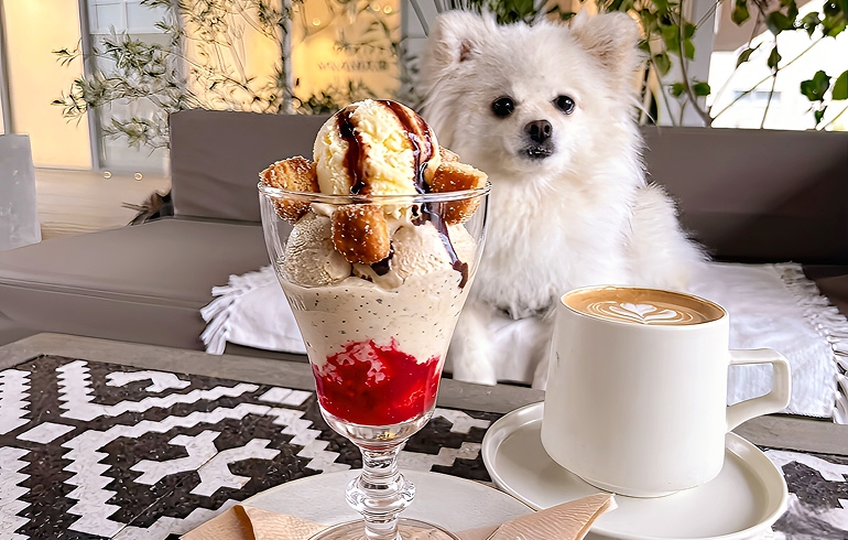 バレルエイジドコーヒームースと木苺のパルフェ