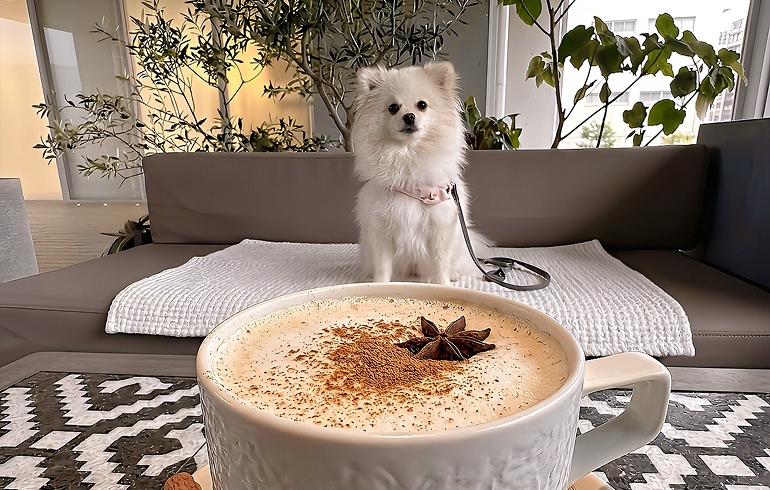 バレルエイジドラテ