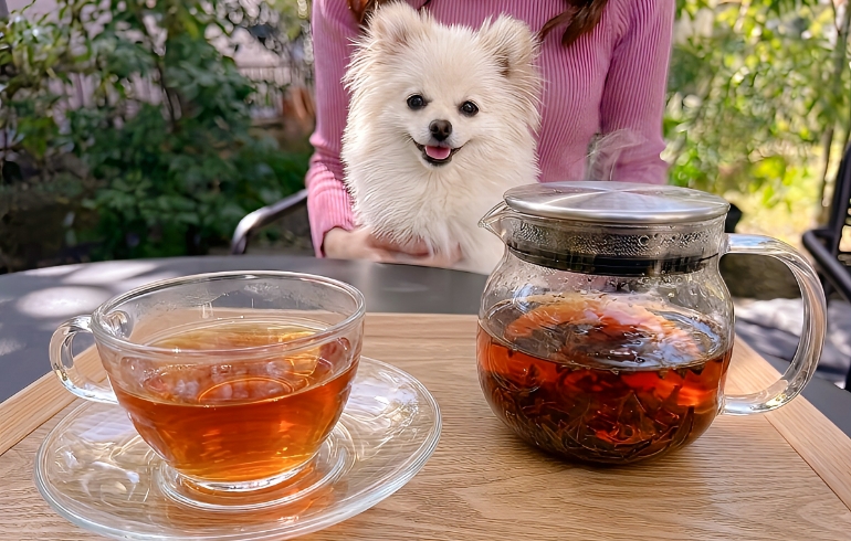 自家焙煎スペシャルティコーヒー