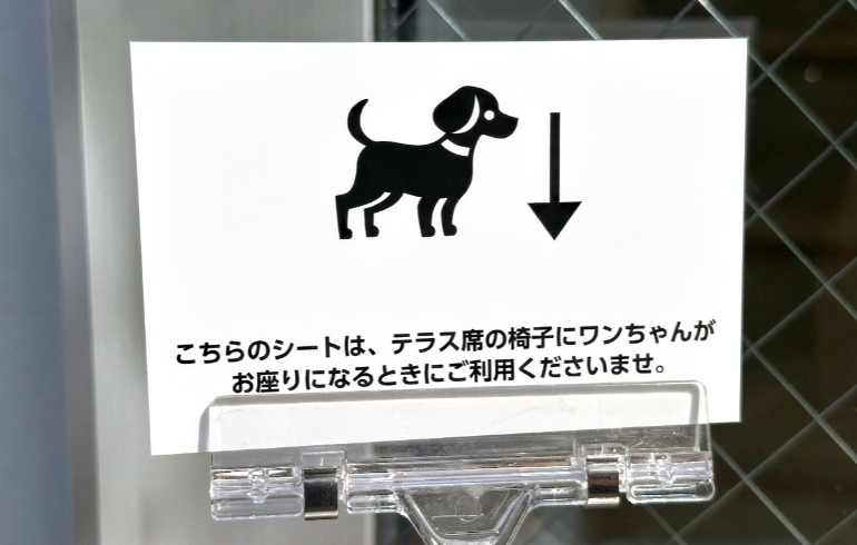 マットでくつろぐワンちゃん