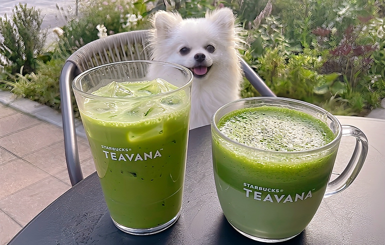 和三蜜 抹茶 ティー ラテ