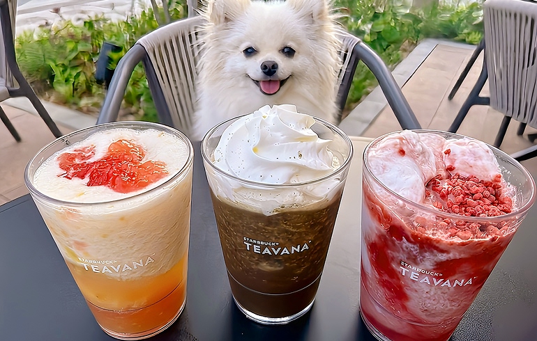 ティーフラペチーノ