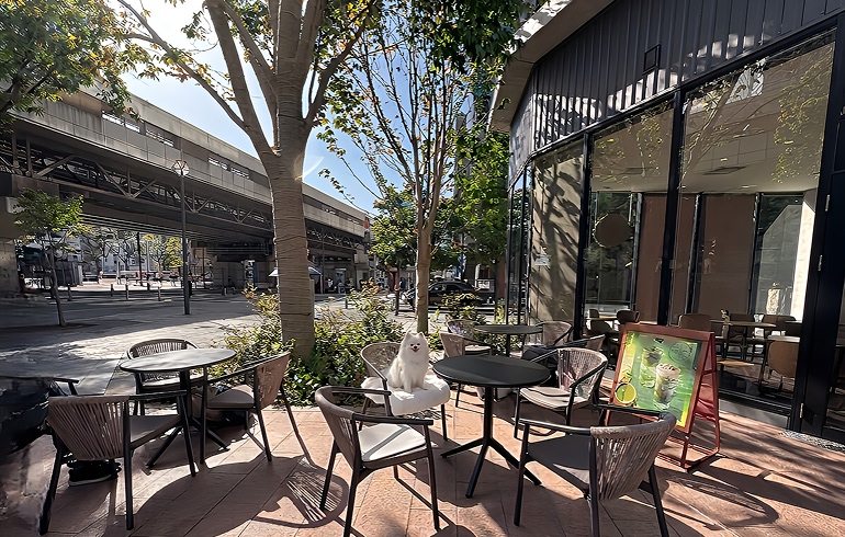 スターバックス ティー＆カフェ BASEGATE横浜関内店 テラス席