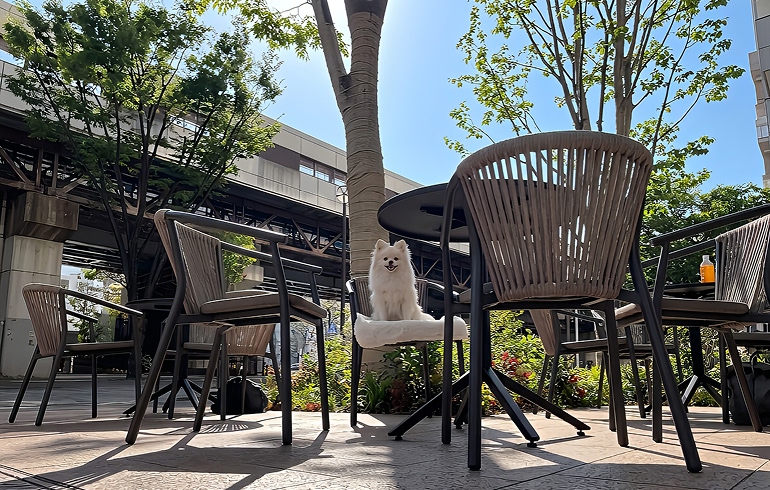 スターバックス ティー＆カフェ BASEGATE横浜関内店 テラス席