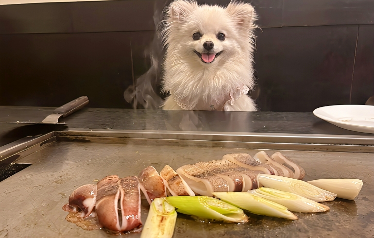 いか焼のアップ