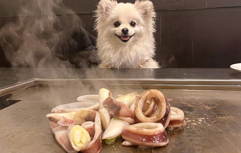 バター香るいか焼き