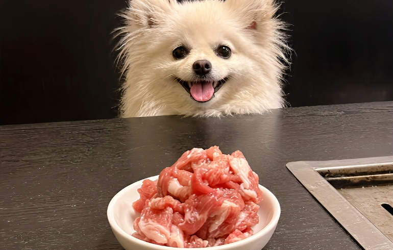 ワンちゃんへのお肉サービス