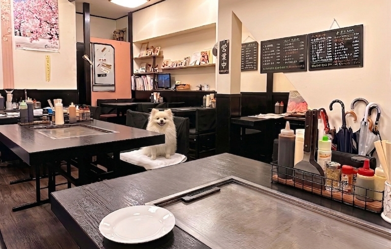 大鵬の店内席