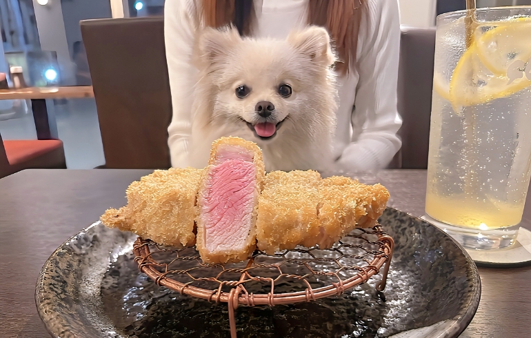 ルイビ豚ロースかつ