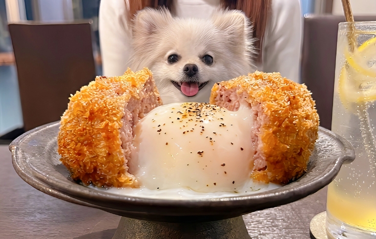 ルイビ豚メンチかつ
