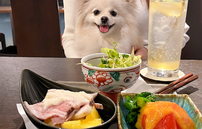 あて3種盛
