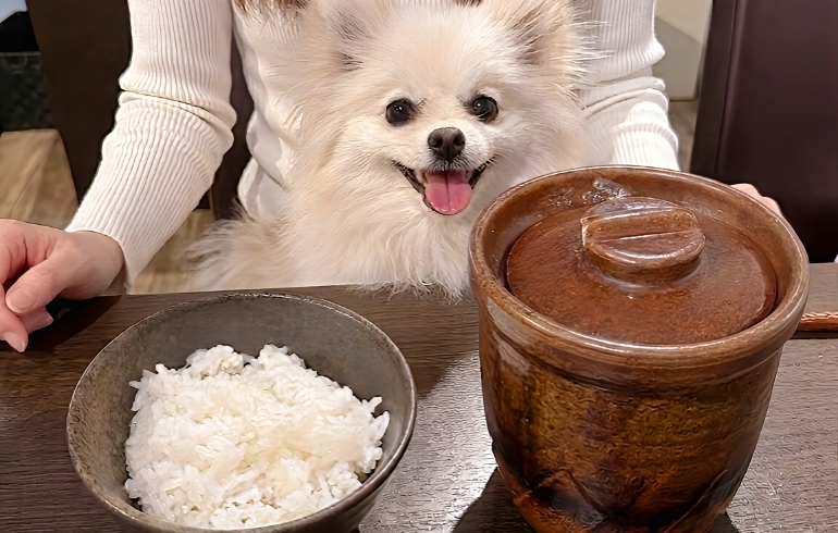 土鍋ご飯