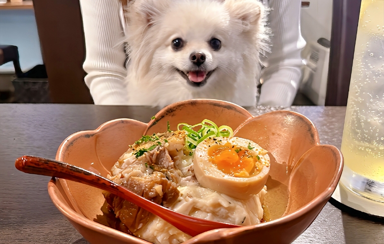 GOENの肉じゃが風ポテサラ〜ルイビ豚バラ角煮