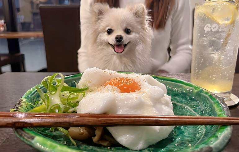ルイビ豚モモ肉 月見すき焼き