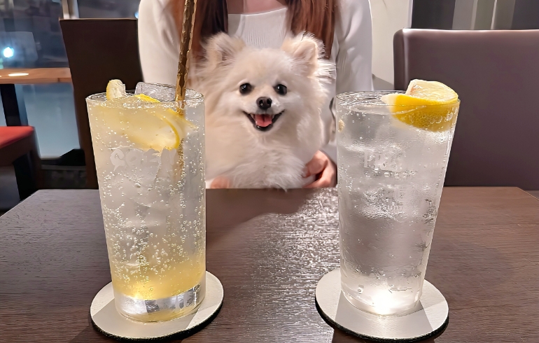 ドリンク