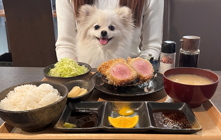 ランチメニュー