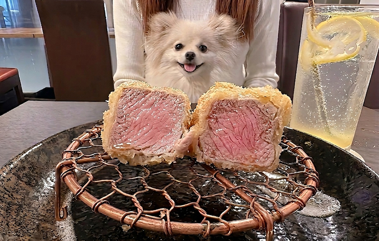 ルイビ豚ひれかつ