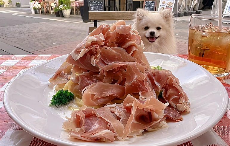 のせ放題パスタ