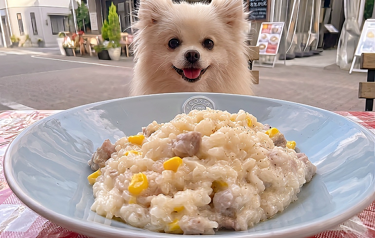 トリュフチーズリゾット 濃厚な仕上がり