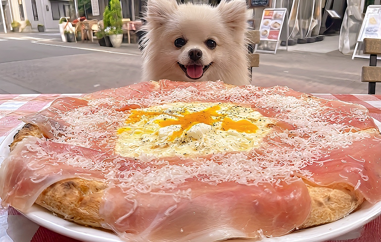 ビスマルク