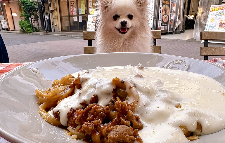 チーズかけ放題 チーズチーズチーズパスタ