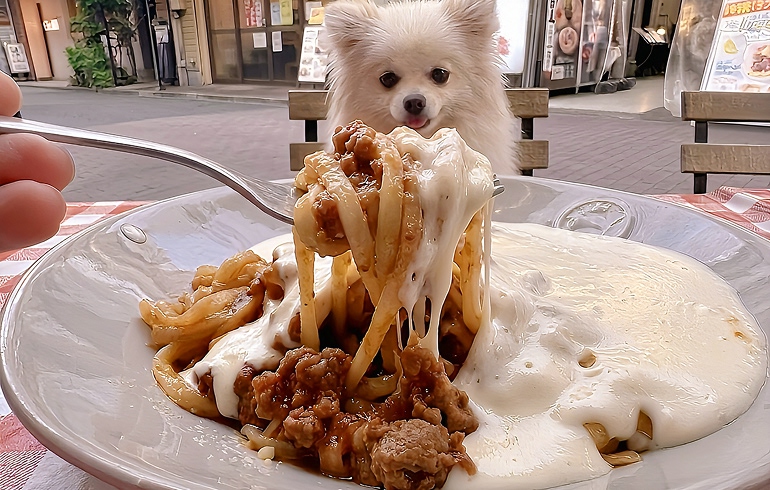チーズかけ放題 3種チーズの濃厚パスタ