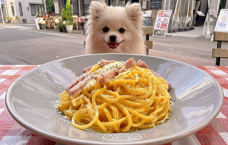 Italian Kitchen VANSAN 赤羽店 人気メニュー