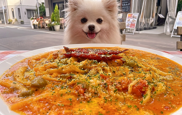 暗殺者のパスタ
