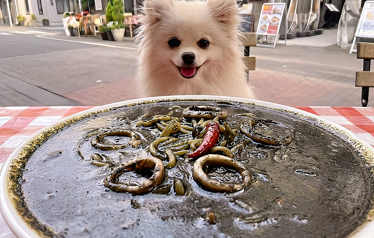 魔女のパスタ