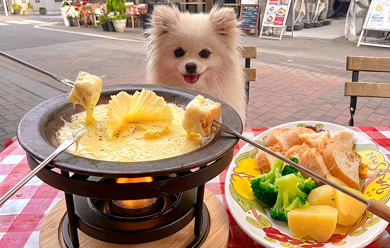 チーズフォンデュ