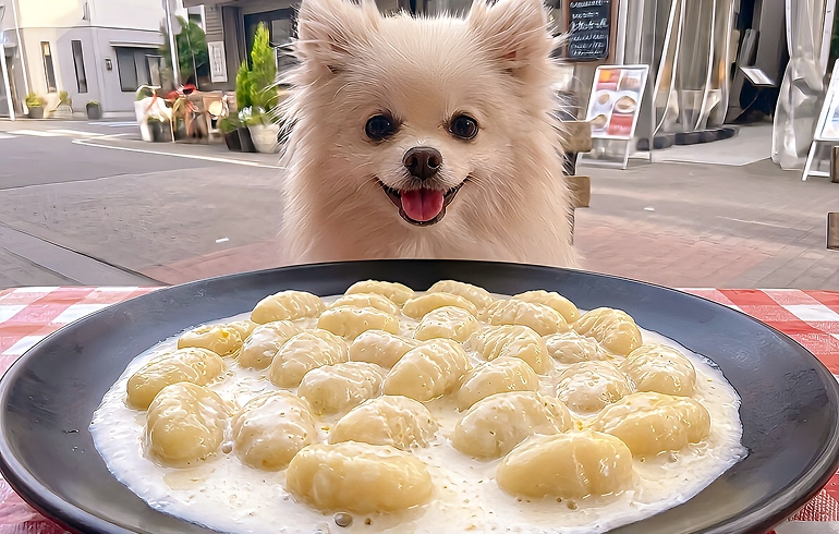 Italian Kitchen VANSAN 赤羽店 人気メニュー