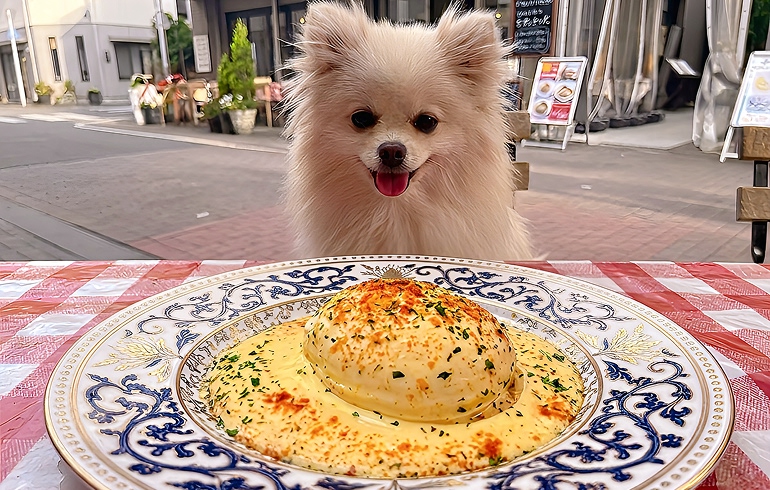 ウフマヨ